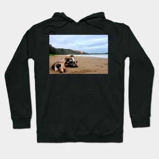 Vietnam - Plage de Miu Né Hoodie